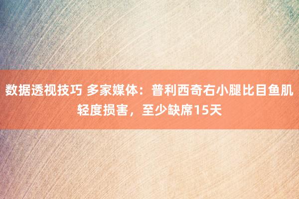 数据透视技巧 多家媒体：普利西奇右小腿比目鱼肌轻度损害，至少缺席15天