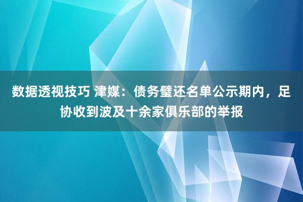 数据透视技巧 津媒：债务璧还名单公示期内，足协收到波及十余家俱乐部的举报