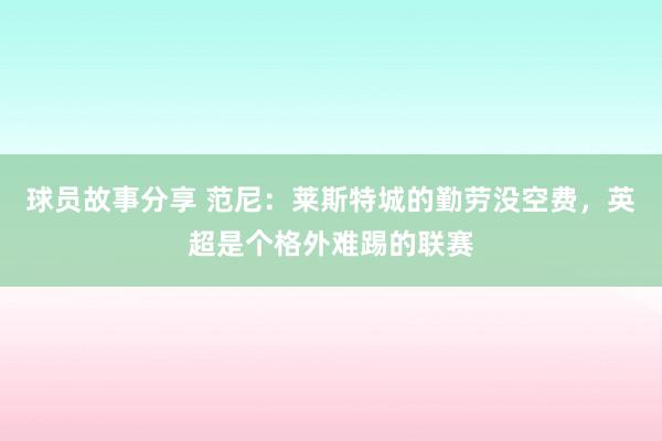 球员故事分享 范尼：莱斯特城的勤劳没空费，英超是个格外难踢的联赛