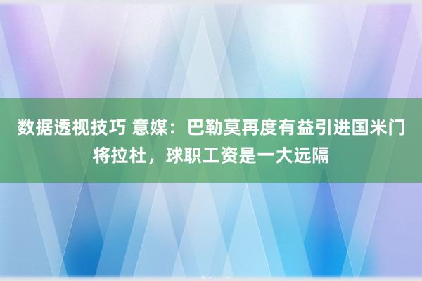 数据透视技巧 意媒：巴勒莫再度有益引进国米门将拉杜，球职工资是一大远隔