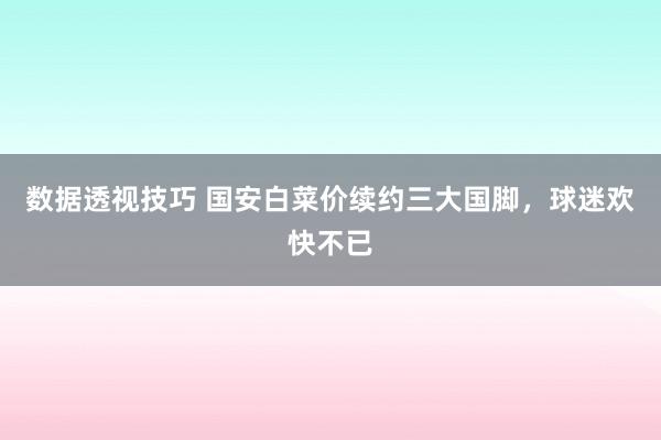 数据透视技巧 国安白菜价续约三大国脚，球迷欢快不已