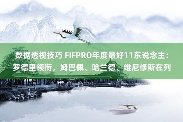 数据透视技巧 FIFPRO年度最好11东说念主：罗德里领衔，姆巴佩、哈兰德、维尼修斯在列